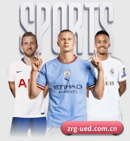 五大服务分区,信息按项目分类