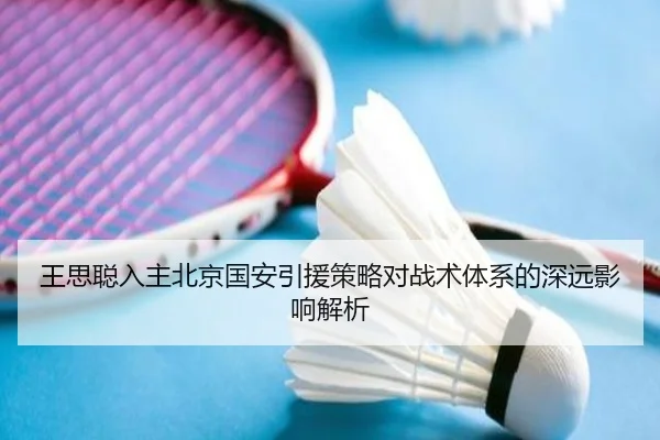王思聪入主北京国安引援策略对战术体系的深远影响解析
